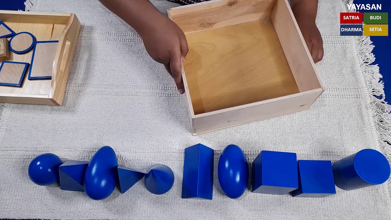 Apparatus Geometric Solid Montessori