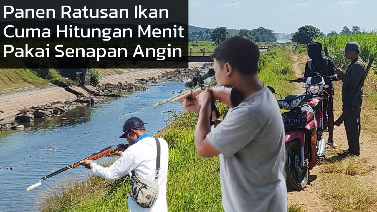 SERU!!! MENEMBAK IKAN MENGGUNAKAN SENAPAN ANGIN AUTO PANEN