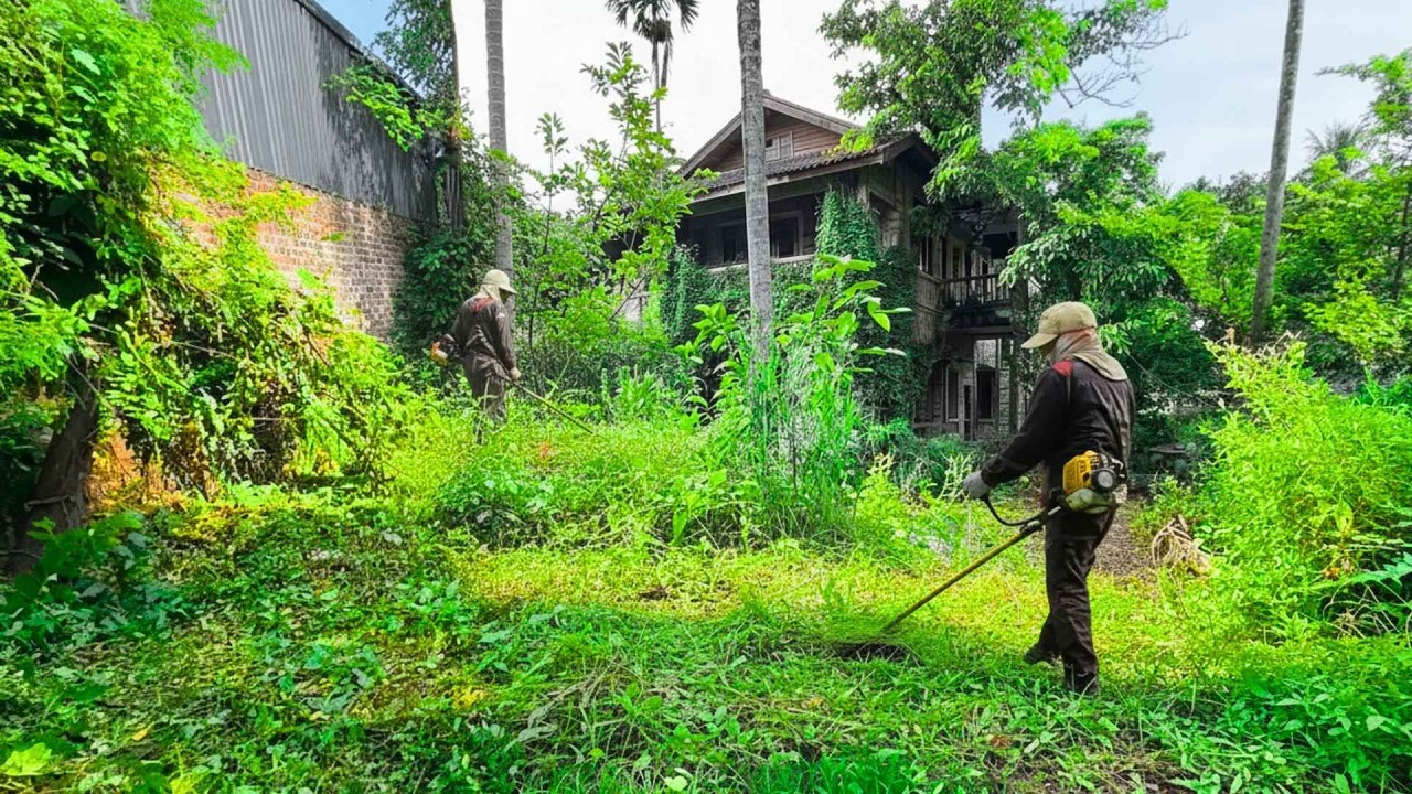 Shocking! A 99-year-old man asked us to save his house - The truth after the cleanup.