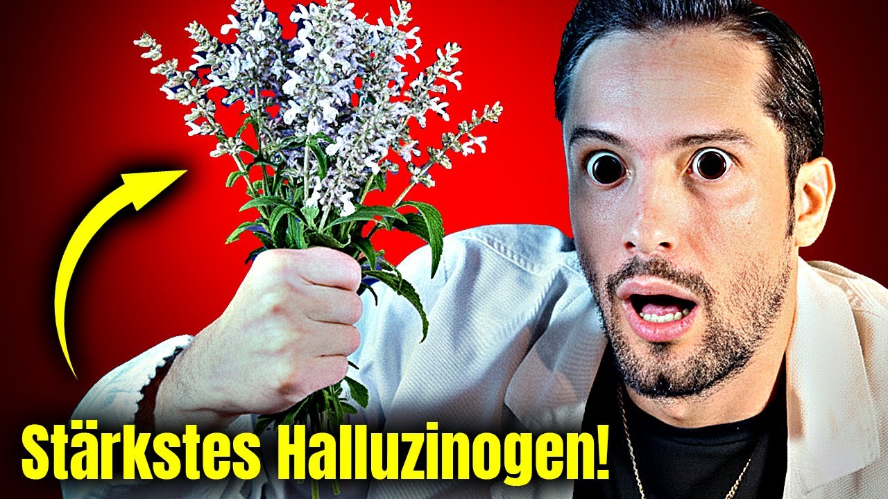 Das passiert, wenn du das stärkste natürliche Halluzinogen nimmst