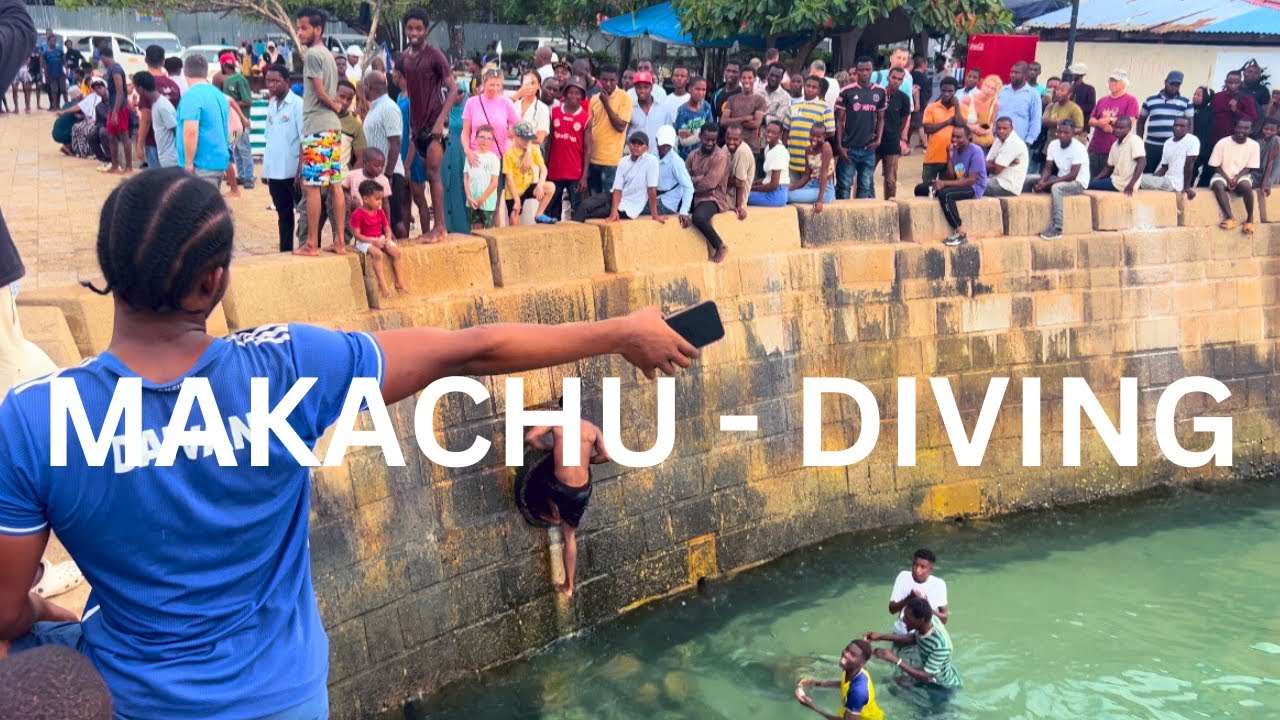 Makachu + Forodhani Diving = Ultimate Fun!