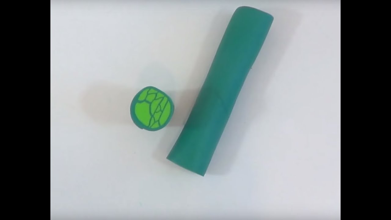 ► [ TUTO ] Pâte Polymère Réalisation d'une Canne en Fimo Vert Tropical et émeraude