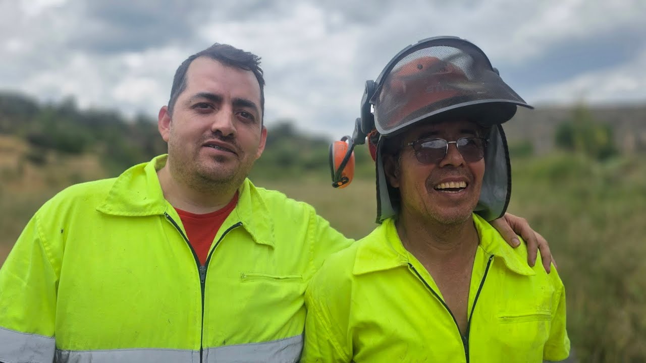 Trabajos forestales en el r&iacute;o Mesa por Villel de Mesa: &aacute;rea del Molino de Abajo 