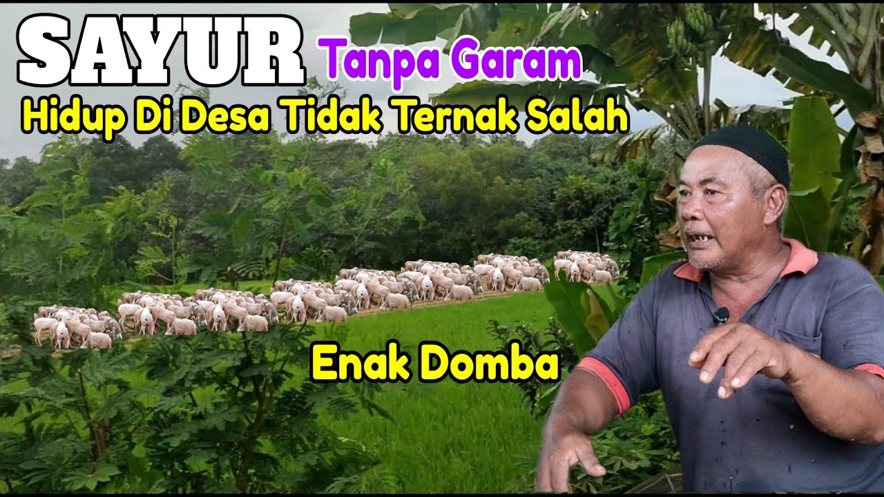 Ki Sony; Hidup Di Desa Bisa Menumpuk Beban Bila Tidak Ternak Domba