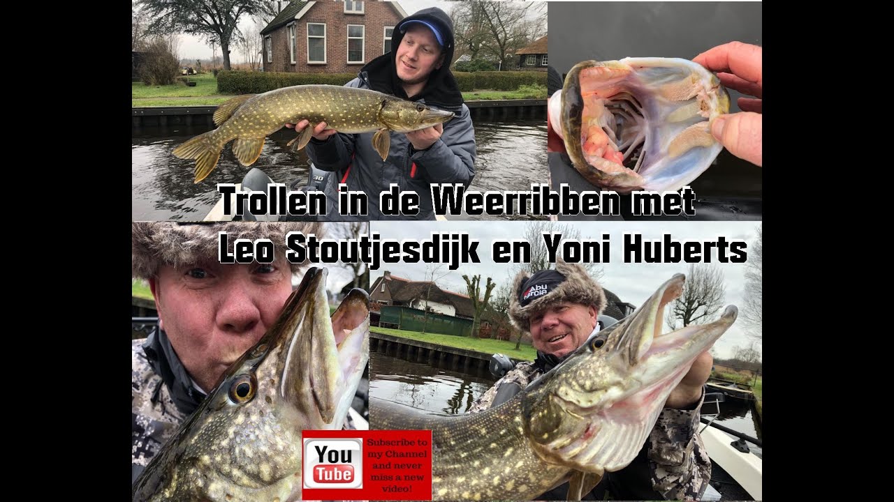 Trollen in de Weerribben.