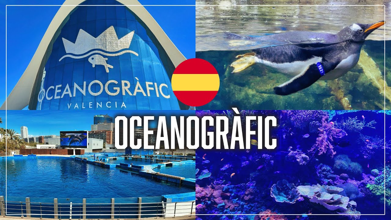 【スペイン】🐠ヨーロッパ最大の水族館🦭Oceanograficへ行ってきました！ 【バレンシア】
