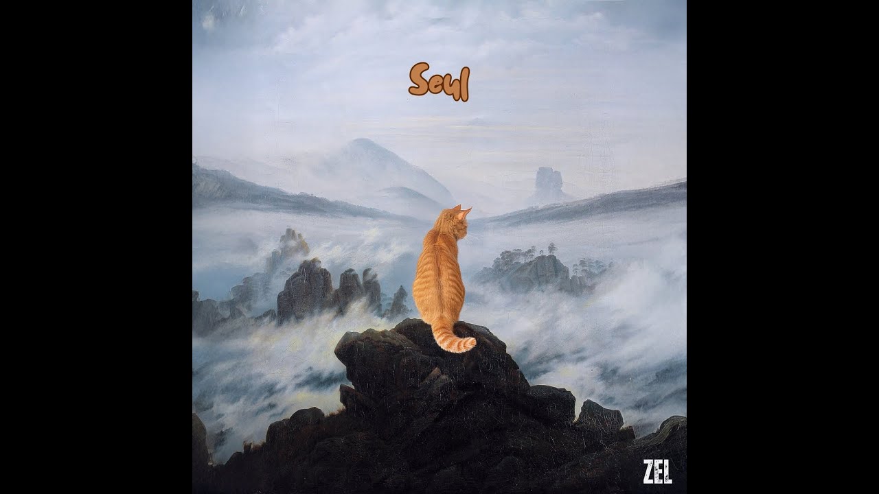ZEL - SEUL (Clip officiel)