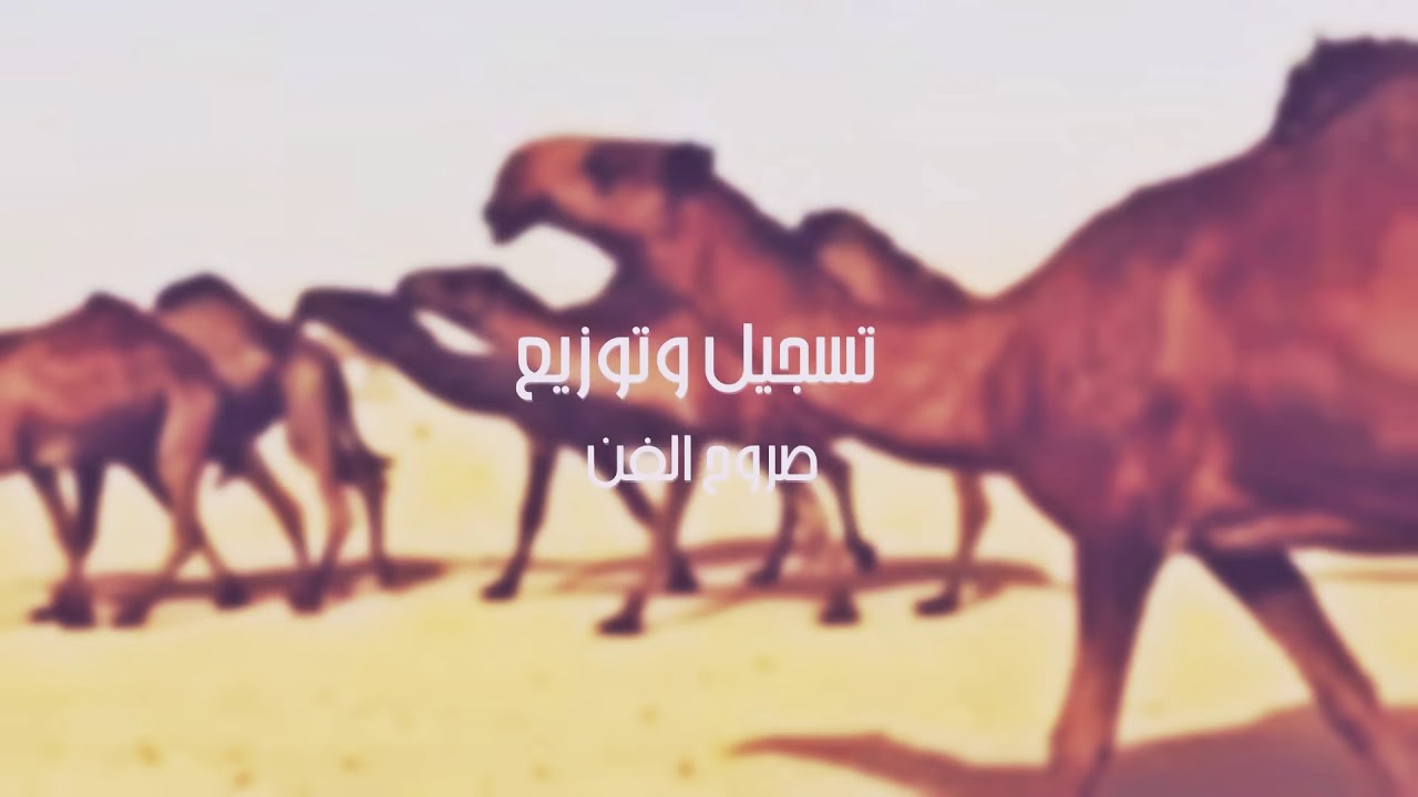 شيلة | خيل الصفراء ليا كبرت القاله  | كلمات /سعد عبيد |أداء /العذب .جديد لطامات عتيبه