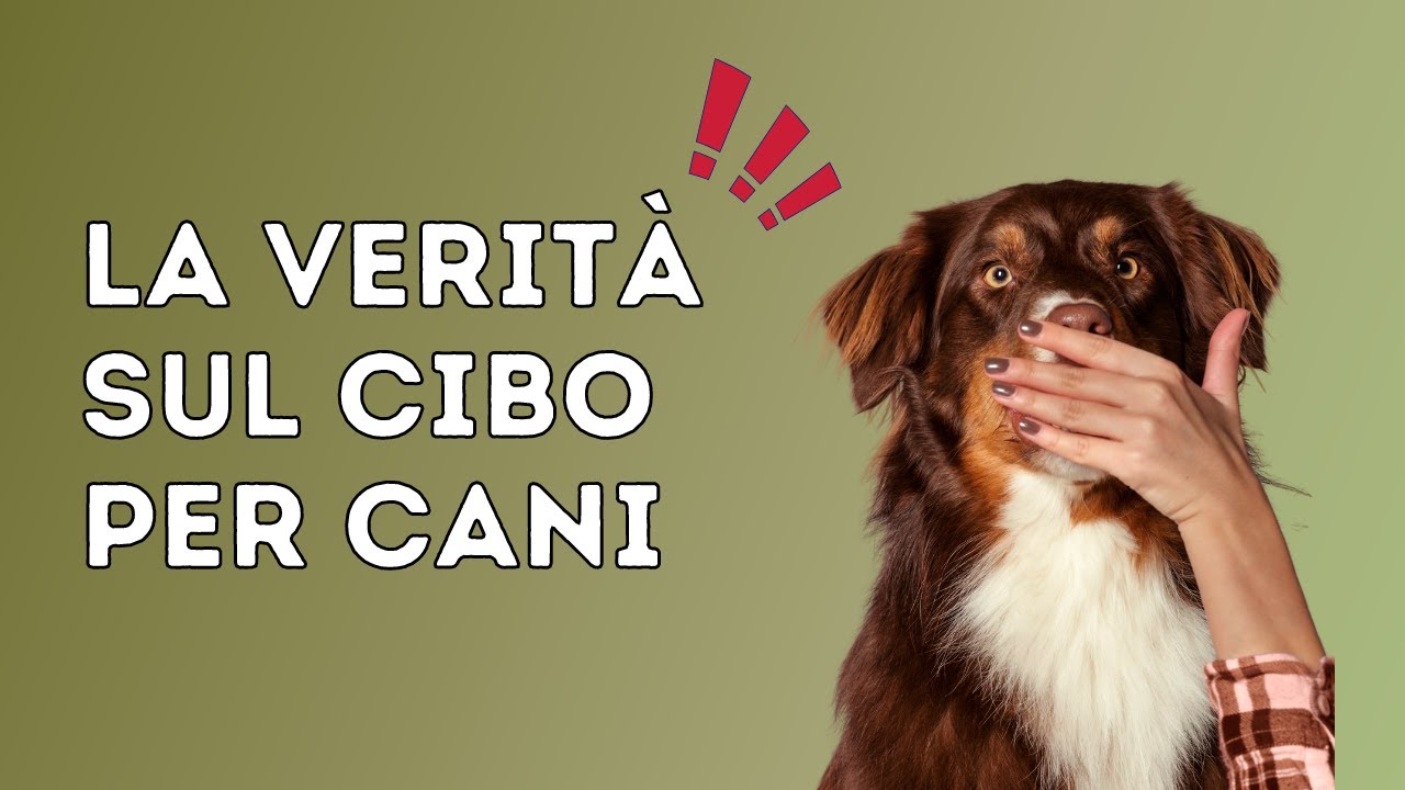 La verità sul cibo per cani: 3 cose da sapere prima di acquistare