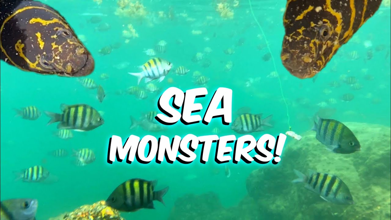 CATCHING WILD FISH FOR AQUARIUM While Fishing In The OCEAN PROTECTED BY SEA MONSTERS