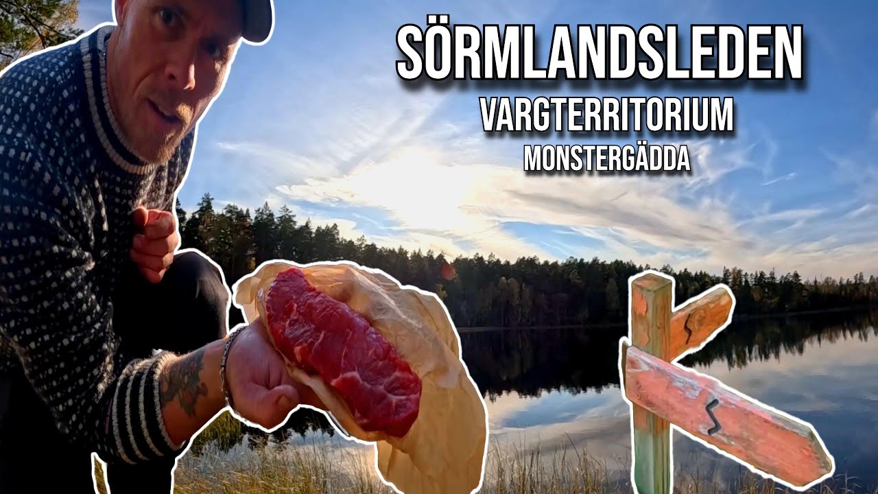 Sörmlandsleden | Steker kött på sten | Vargterritorium | Monstergädda