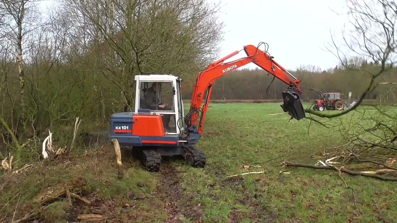 Knack! So fällt man Bäume – Hochmoor-Einsatz