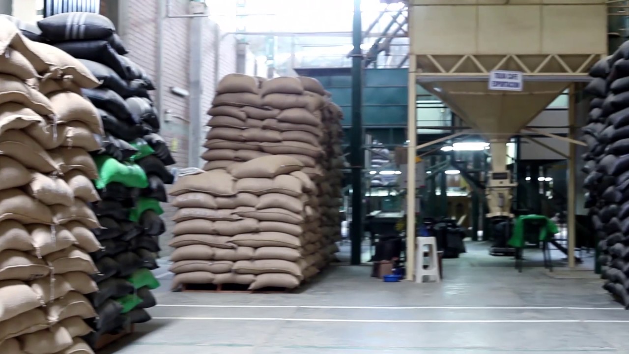 HISTORIAS DE EXITO CACAO PIURA