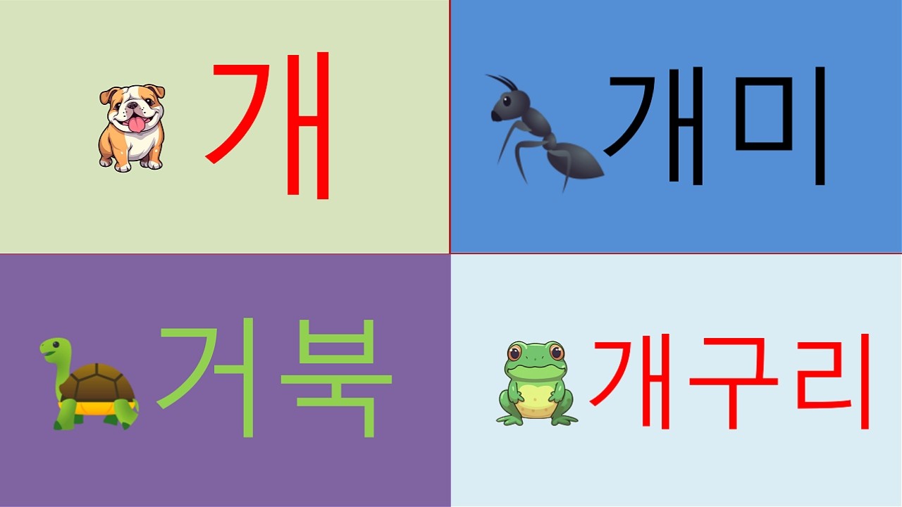 최신버전 1//You tube channel for foreigners to learn Korean      www.youtube.com/@사라-m8o