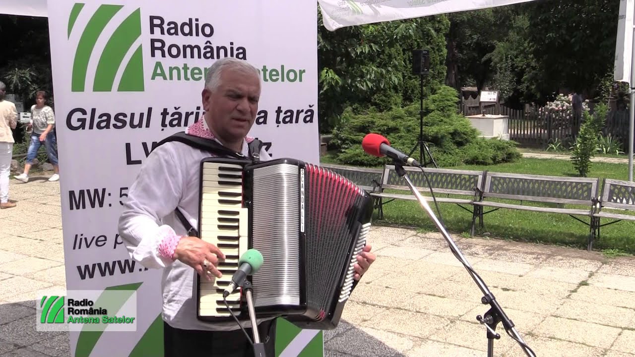 Stelian Apostol -  Cântec de nuntă