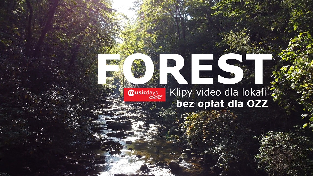 Klipy video FOREST - bez opłat ZAIKS STOART - musicdays.pl
