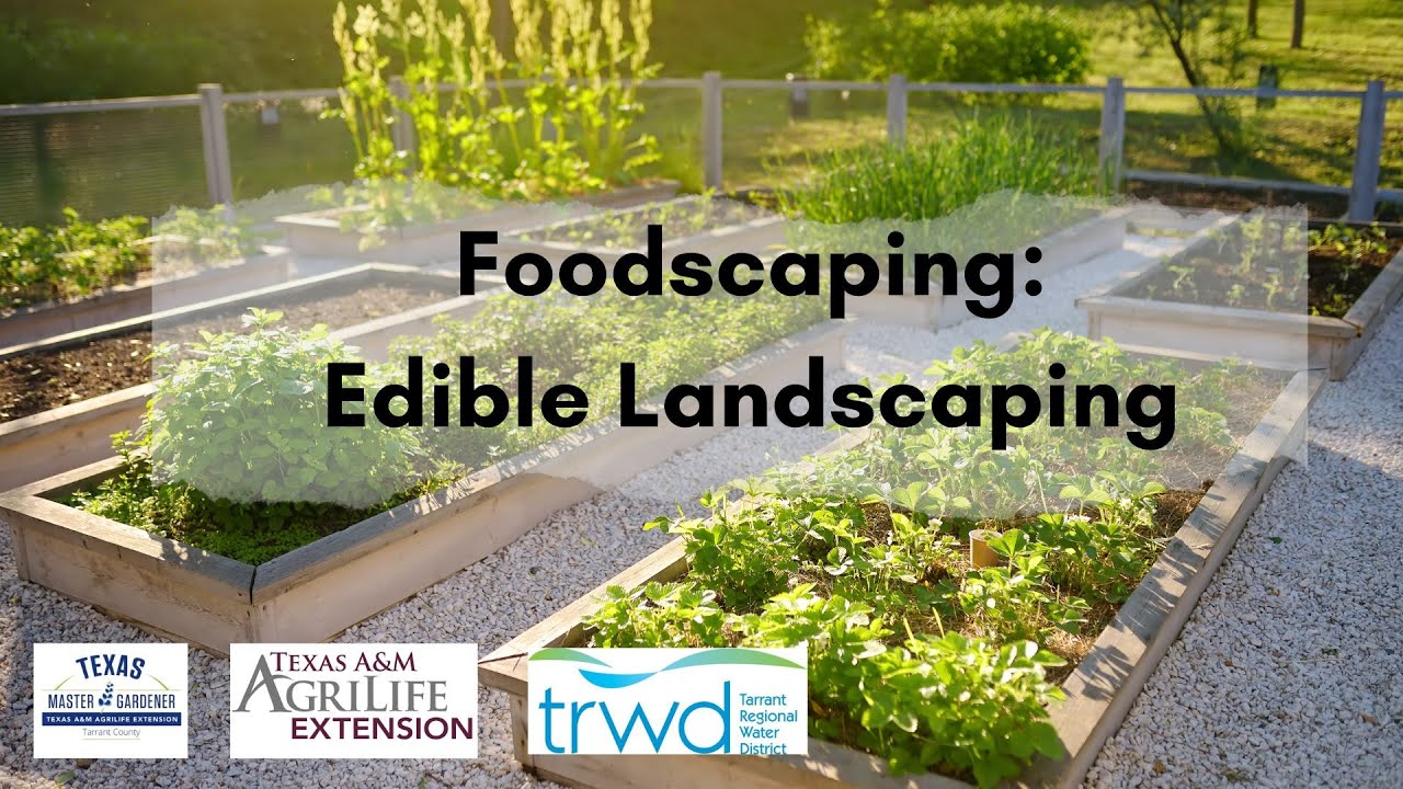 Foodscaping - Edible Landscaping w Theresa Posani