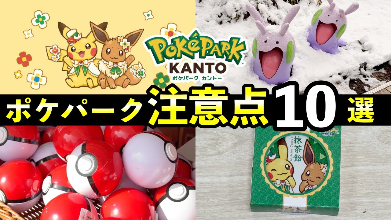 【ポケパークカントー】後悔する前に必ず知っておきたいこと10選！先着スケジュール・金額・行って感じた注意点まとめ