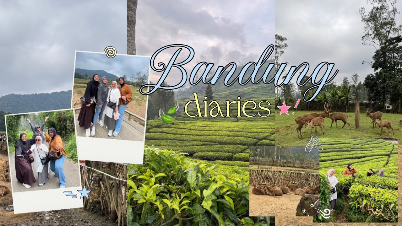 Bandung diaries #1 | Post Concert Trip - Glamping, Rusa & Kebun Teh🌿🍃