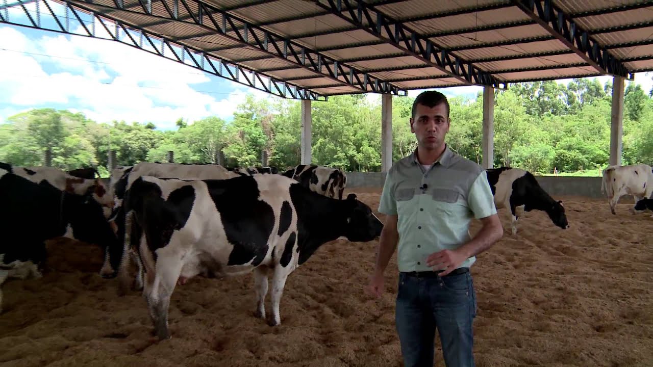 COMPOST BARN NO PARANÁ  -REPÓRTER MÁRCIO FALCÃO - PROGRAMA CAMINHOS DO OESTE
