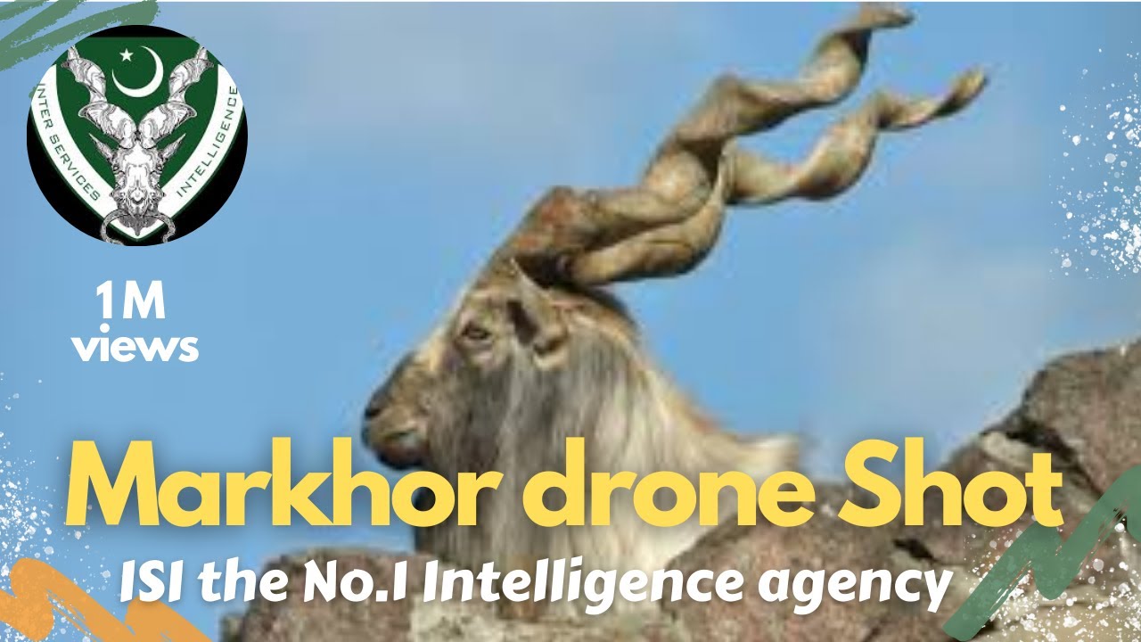 Markhor coverage by drone camera, ISI no.1 intelligence agency , Pakistan