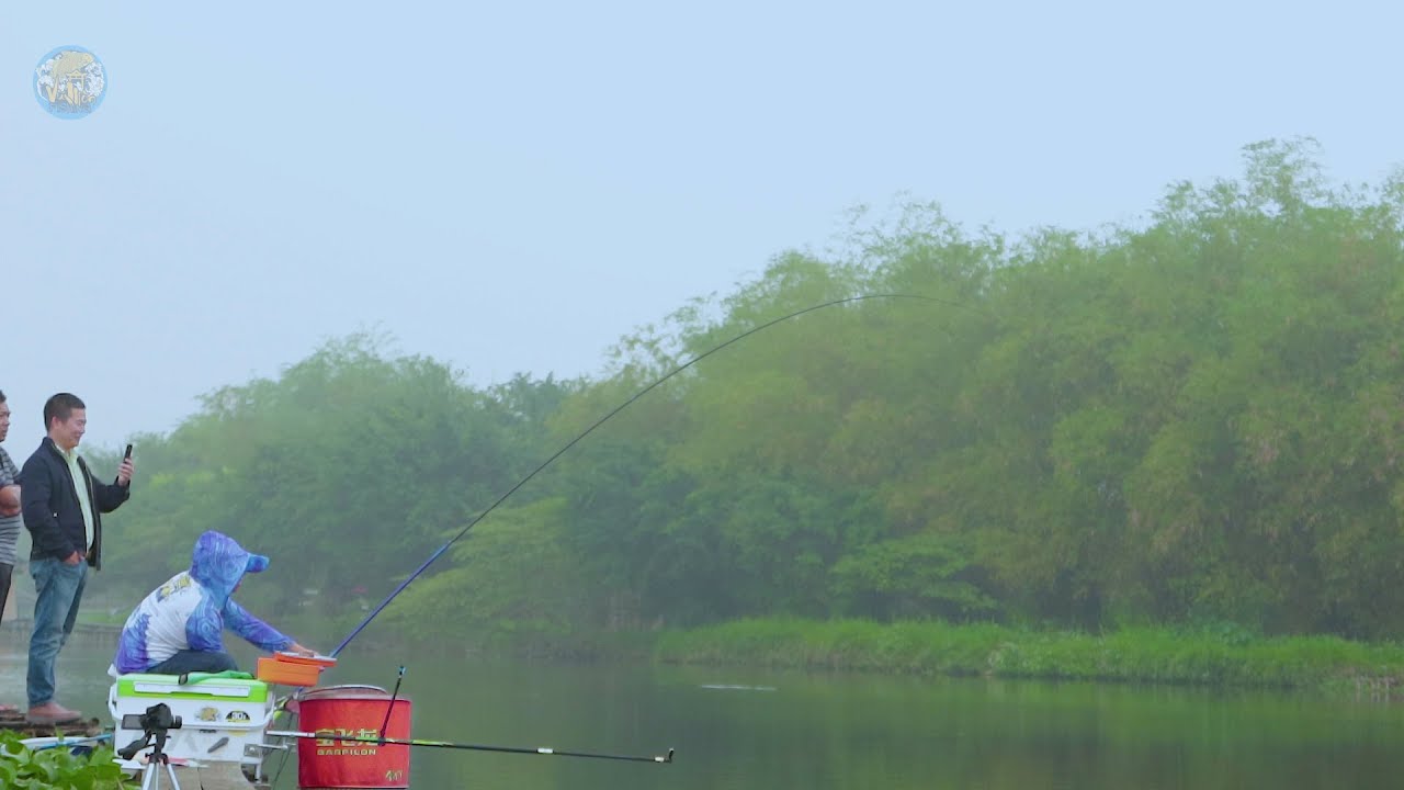 CÂU CÁ TRÔI TO - HỒ CÂU LỤC BÙN DÀY: 1 phát cá chạy ra giữa hồ!