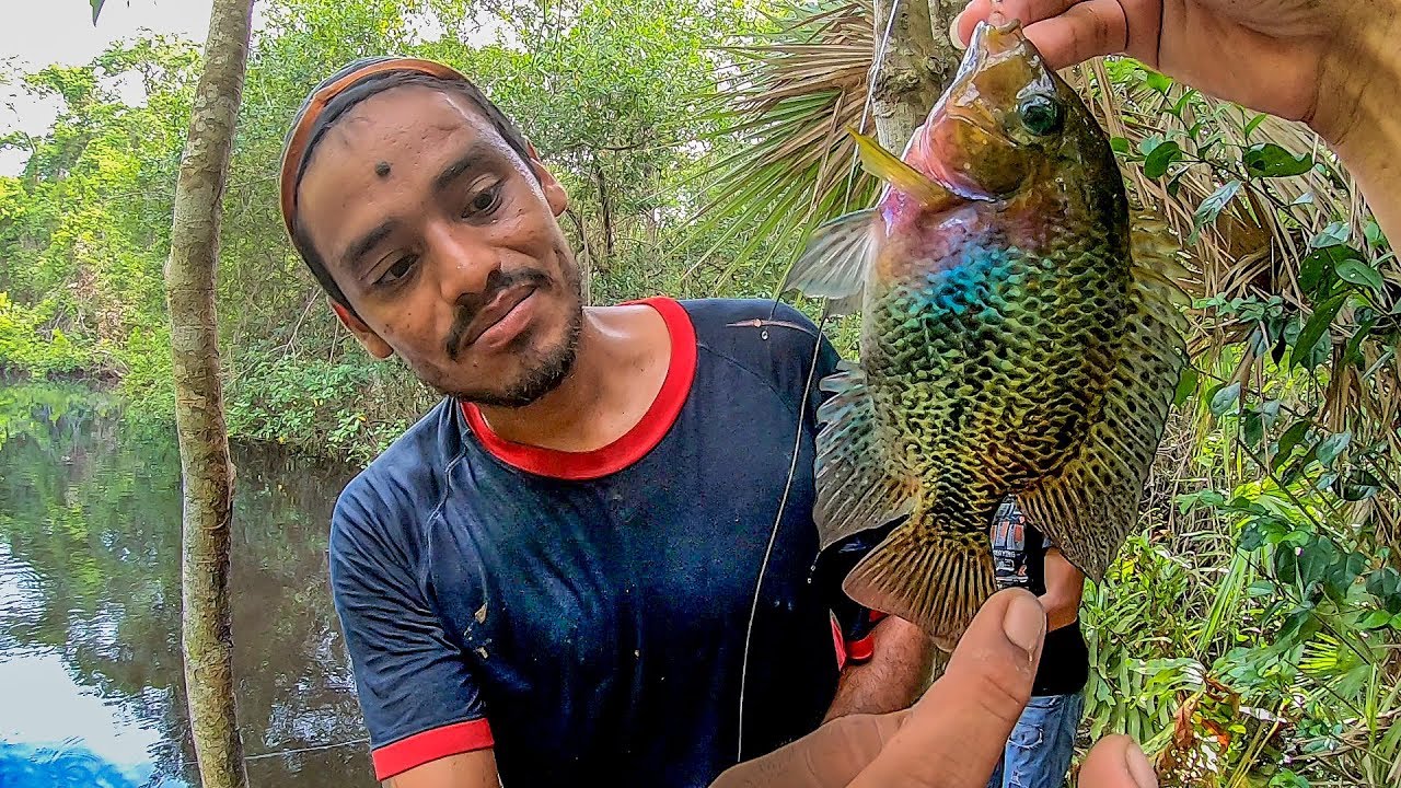 Pesca en la Selva Con Cuerda y Lombriz Mojarras y Sábalo