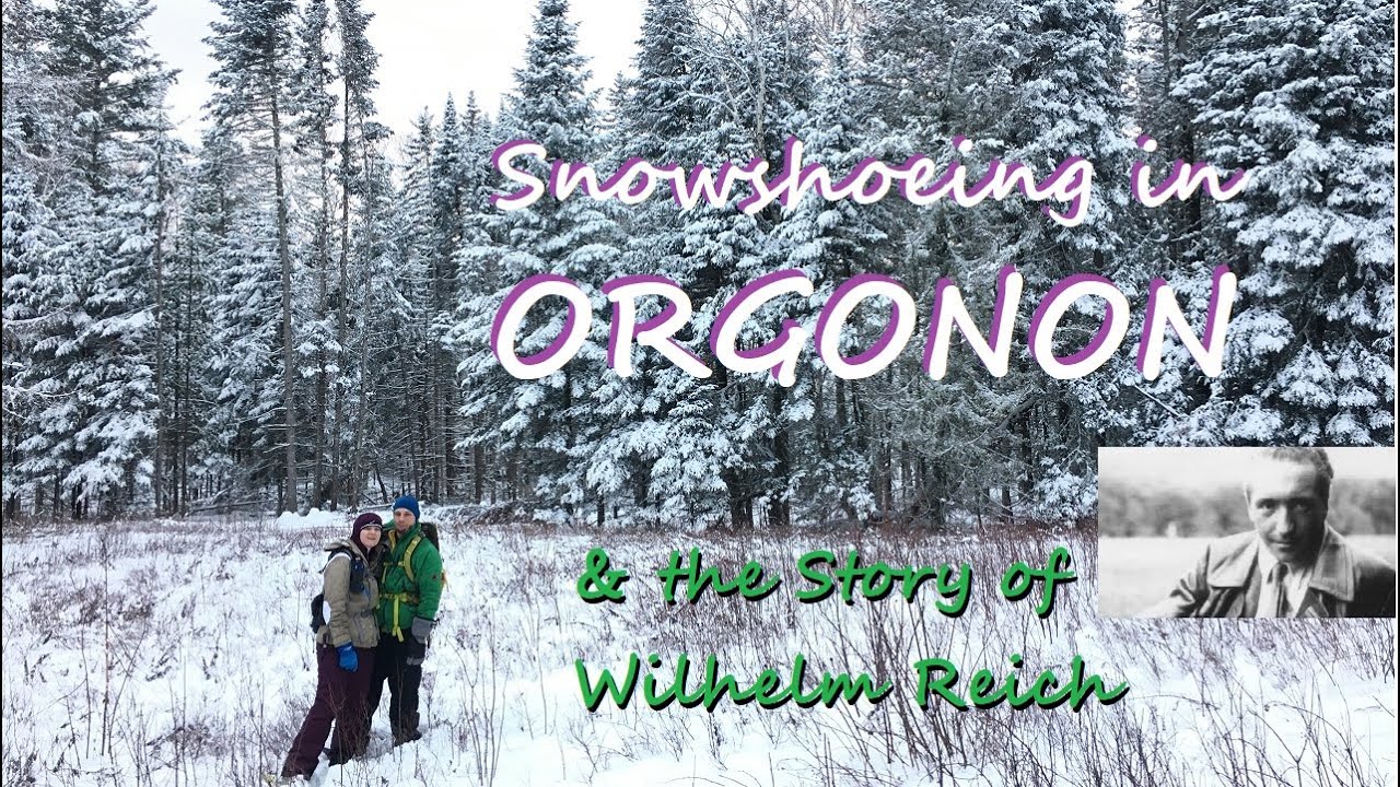 Snowshoeing Orgonon in Rangeley, Maine: History & Hike