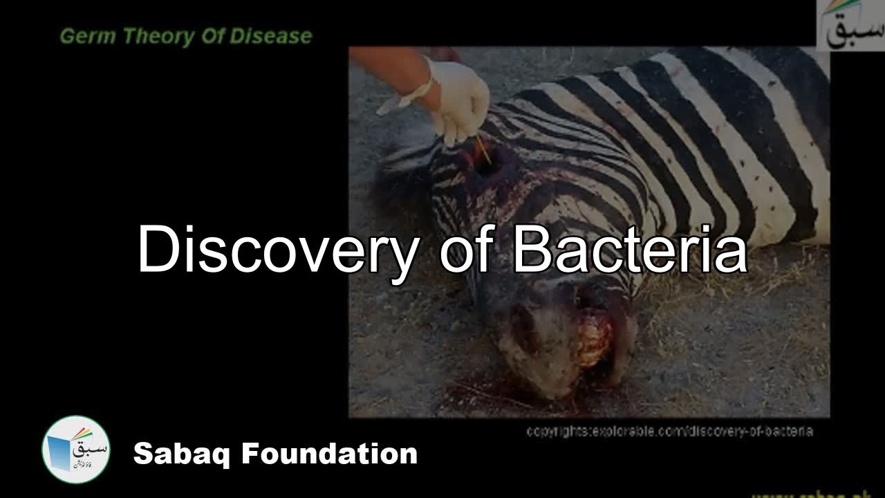 Discovery of Bacteria, Biology Lecture | Sabaq.pk