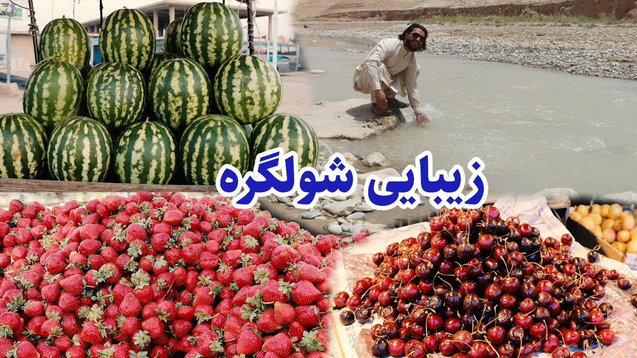 گزارش حیات‌الله، شولگره،عید، عید قربان، شهر مزارشریف، چشمه شفا، چشمه خواجه سکندر، Eid, Mazar