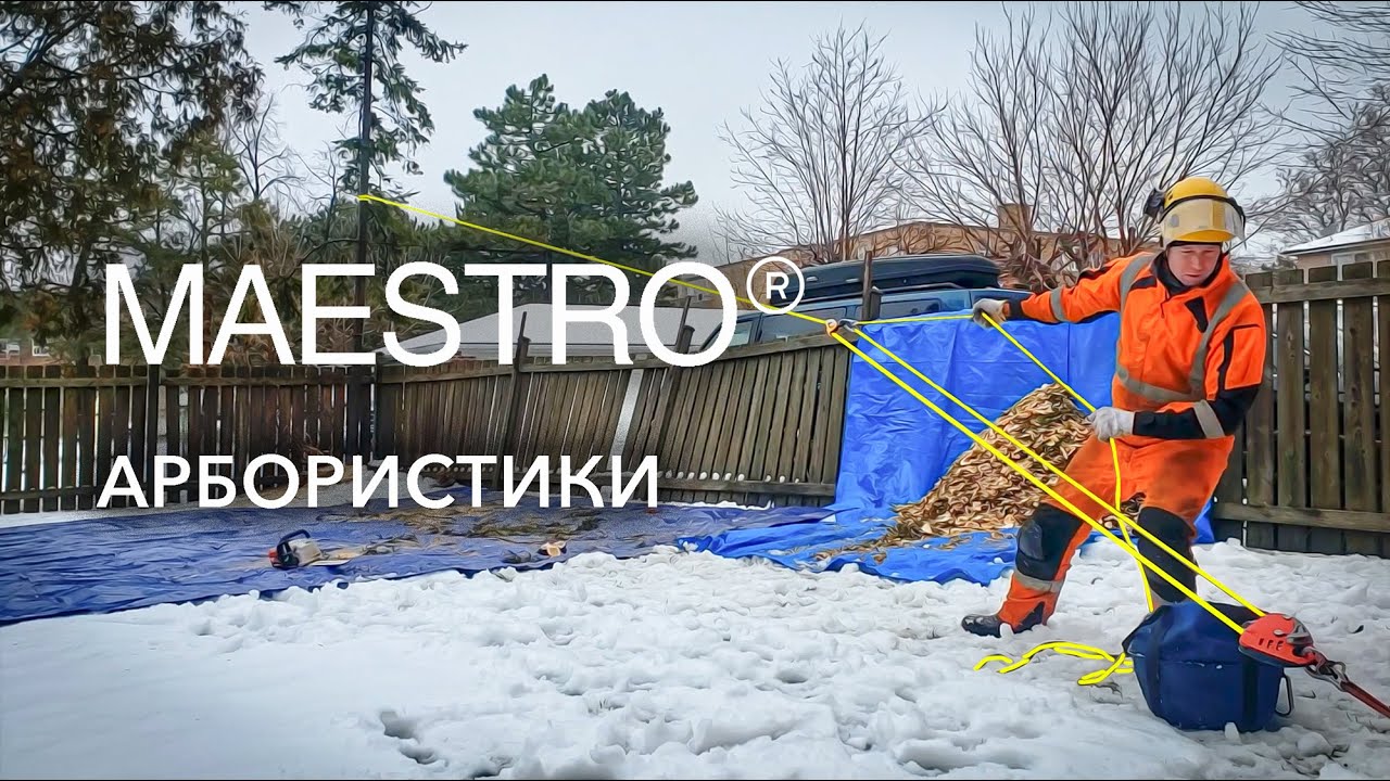 MAESTRO Арбористики - Подпилил, Потянул, Уронил