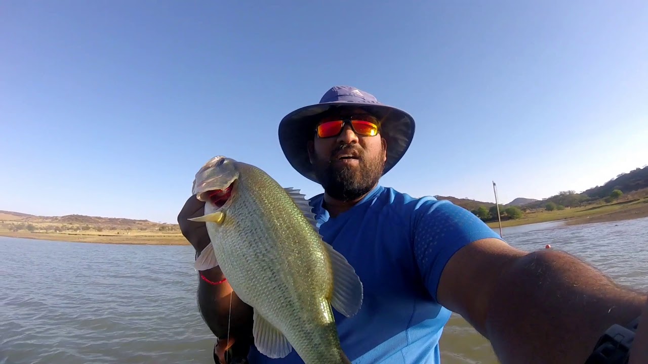 Bass on Structure