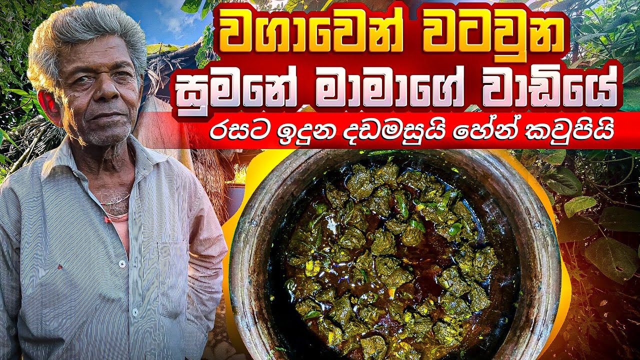 වගාවෙන් වටවුන සුමනේ මාමාගේ වාඩියේ රසට ඉදුන දඩ මසුයි හේන් කවුපියි  #villagelife #srilanka 