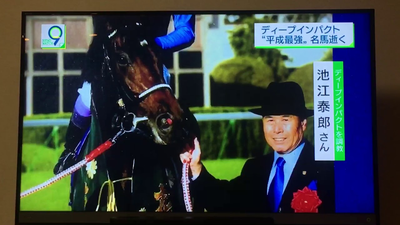 平成最後の名馬 ディープインパクト逝く