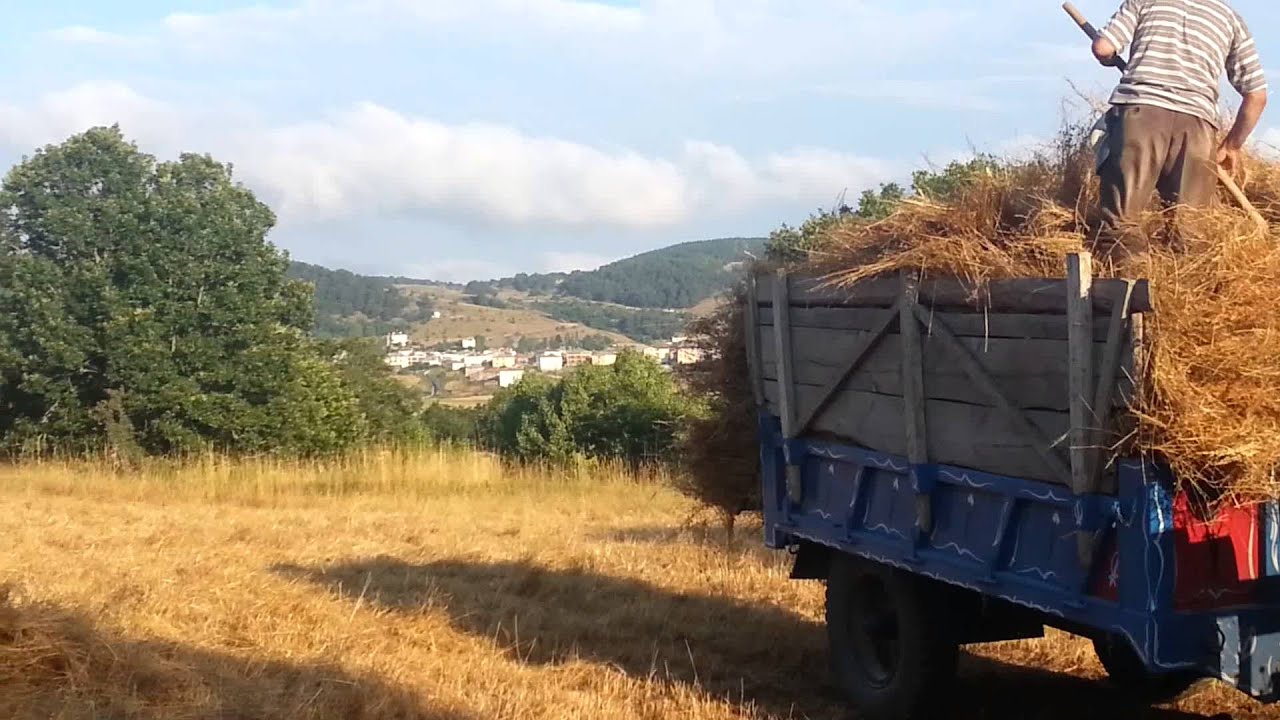 Yok böyle  bir  ses Tokat Reşadiye Yağsiyan köyünden Nizamettin Meydan