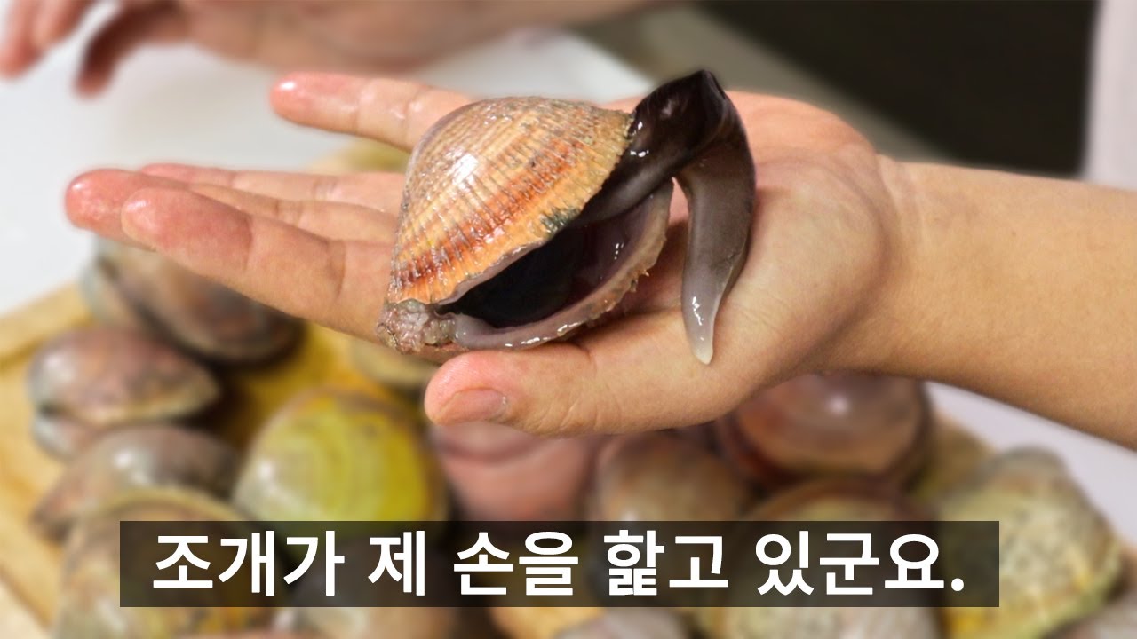 이 조개가 뭐라고 그렇게들 찾아먹는 걸까요?