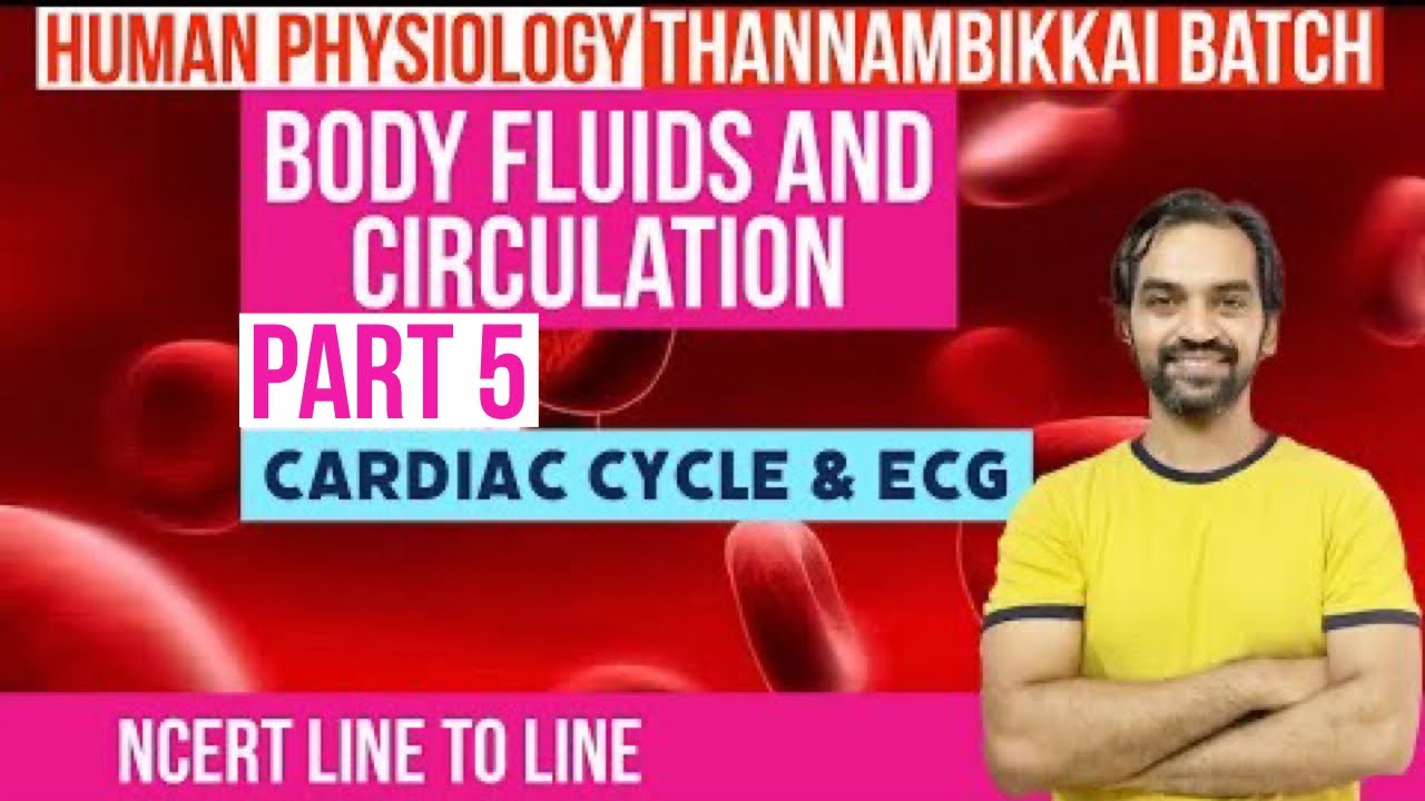 Body fluids and circulation | Part 5 | Double Circulation | NCERT Line to Line | Thannambikkai Batch