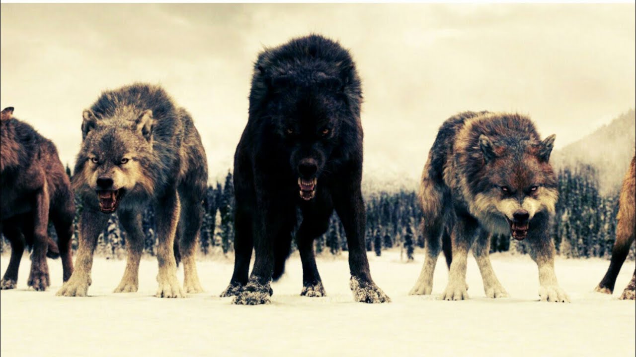 Twilight Wolves - Map
