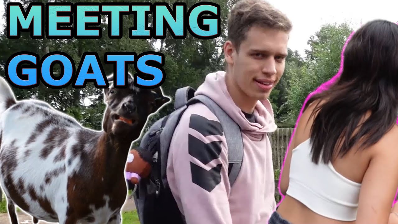 Harstem Meets Goats (Feat. girlfriend) | Real Life Adventures