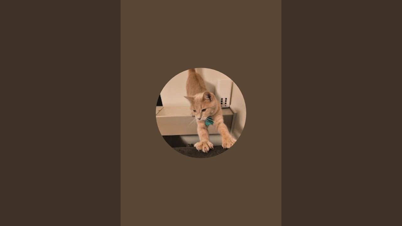Mr. Cash is live!