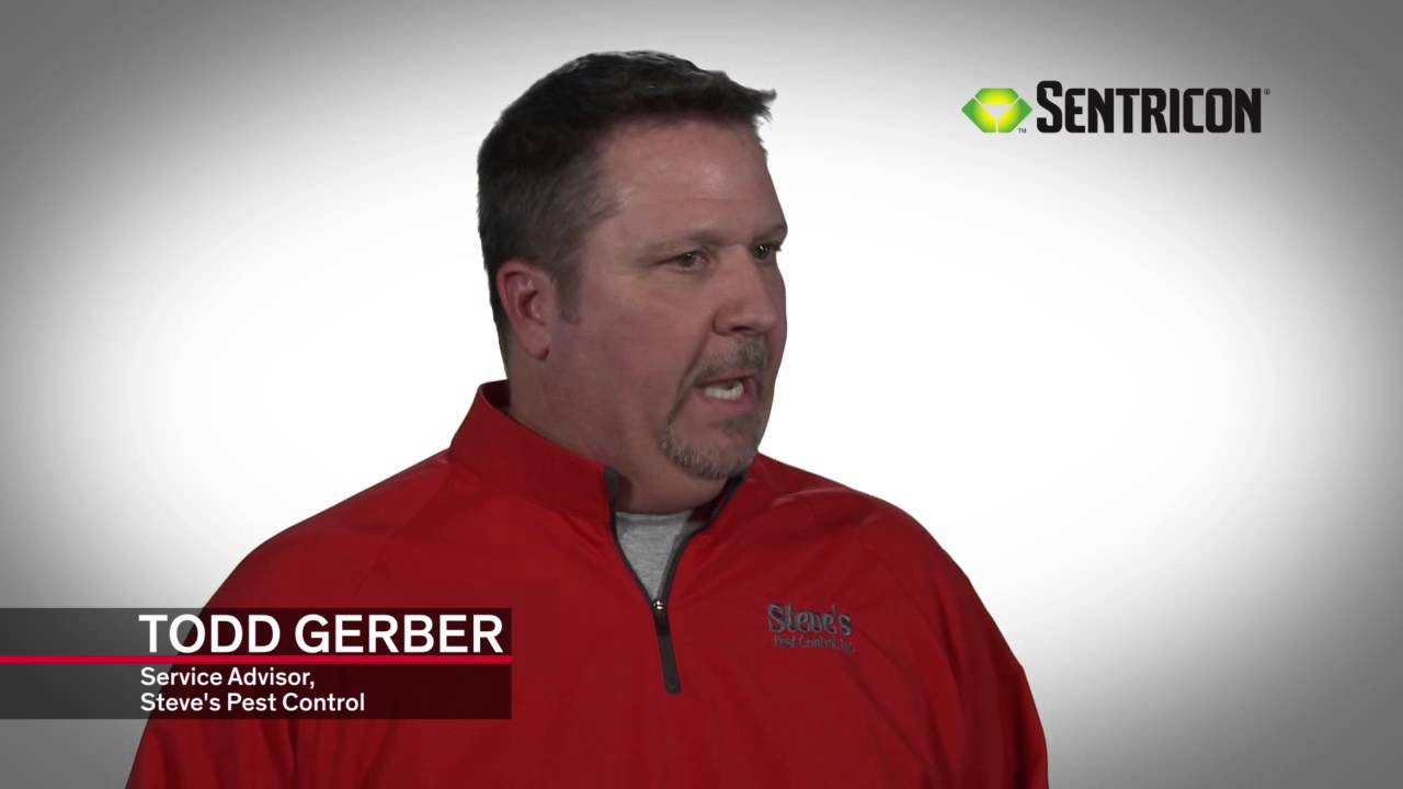 Termite Baiting Is Best: The Sentricon&reg; System Is Innovative and Effective