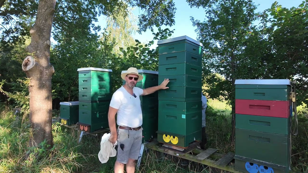 Schoon laten poetsen honingkamers