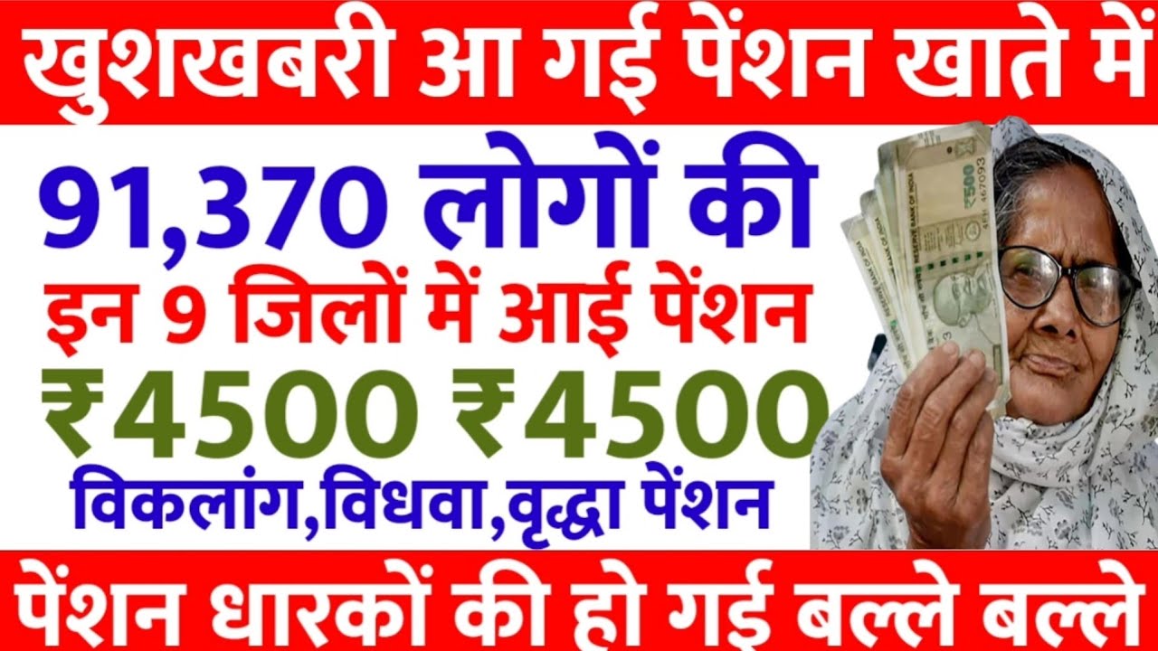 खुशखबरी आ गई पेंशन खाते में | divyang pension | viklang pension | widow pension | pension 