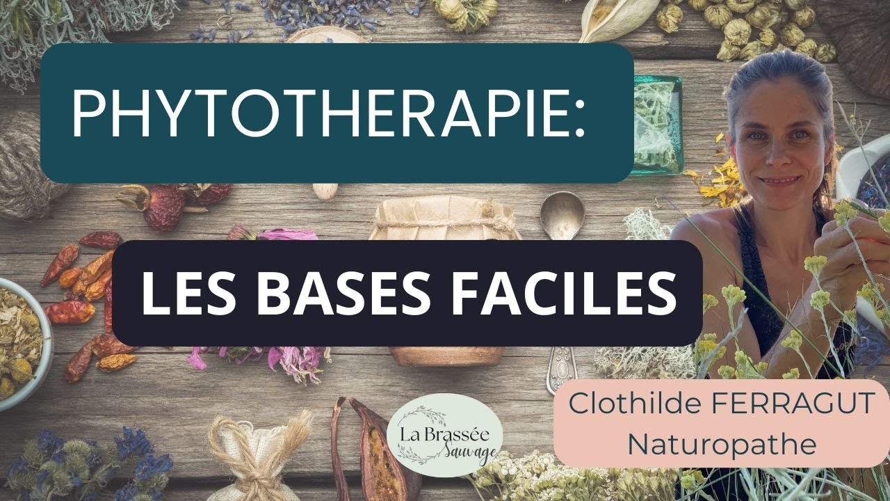 Phytothérapie FACILE : Les Bases pour se soigner avec les Plantes (Débutant)