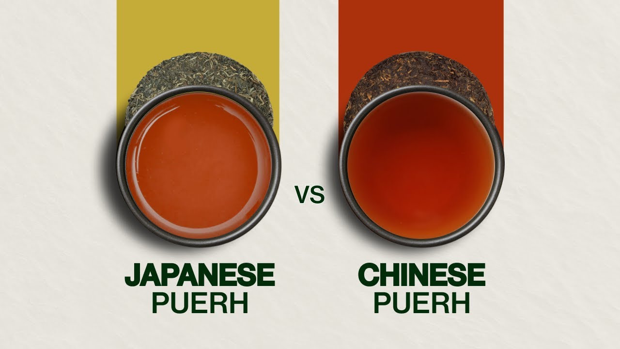Japanese Puerh vs Ripe Puerh - Exploring the Japanese Fermented Tea Called the Rose of Tea