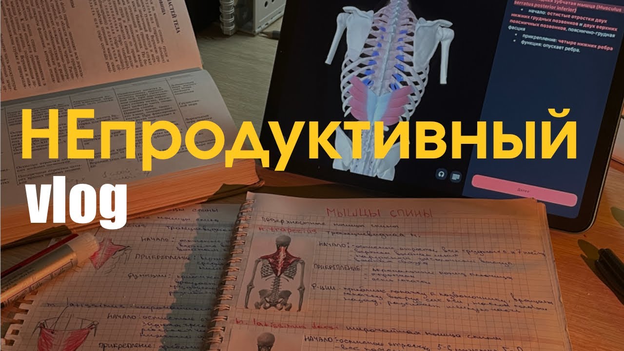 НЕпродуктивный study vlog | учеба в медицинском 