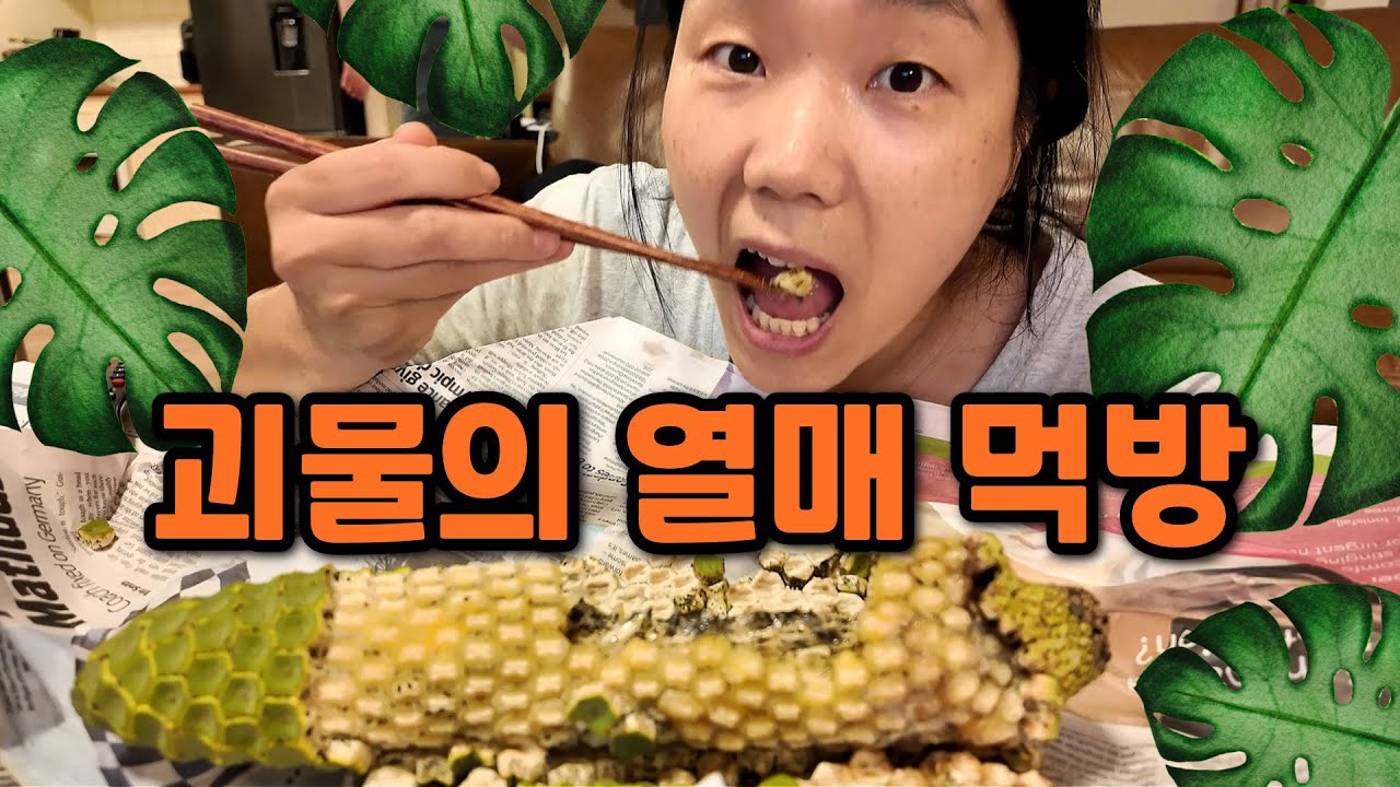 아침은 김밥에 라면, 간식은 몬스테라 열매 먹는 호주 열대지역에 사는 국제부부 의 일상