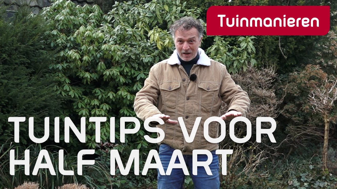 Wat te doen half maart in de tuin? | 2023 | Tuinmanieren