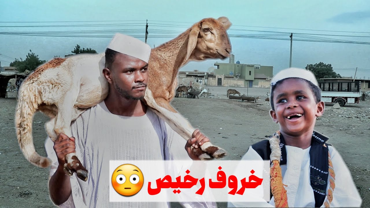 خروف رخيص