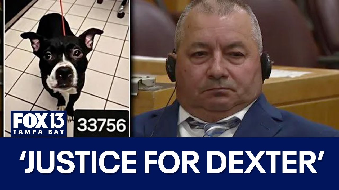 Florida man decapitates dog, tosses remains at Fort DeSoto Park